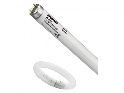 Лампа BL368 SYLVANIA Blacklight FC32W T9 368 G10q фотография